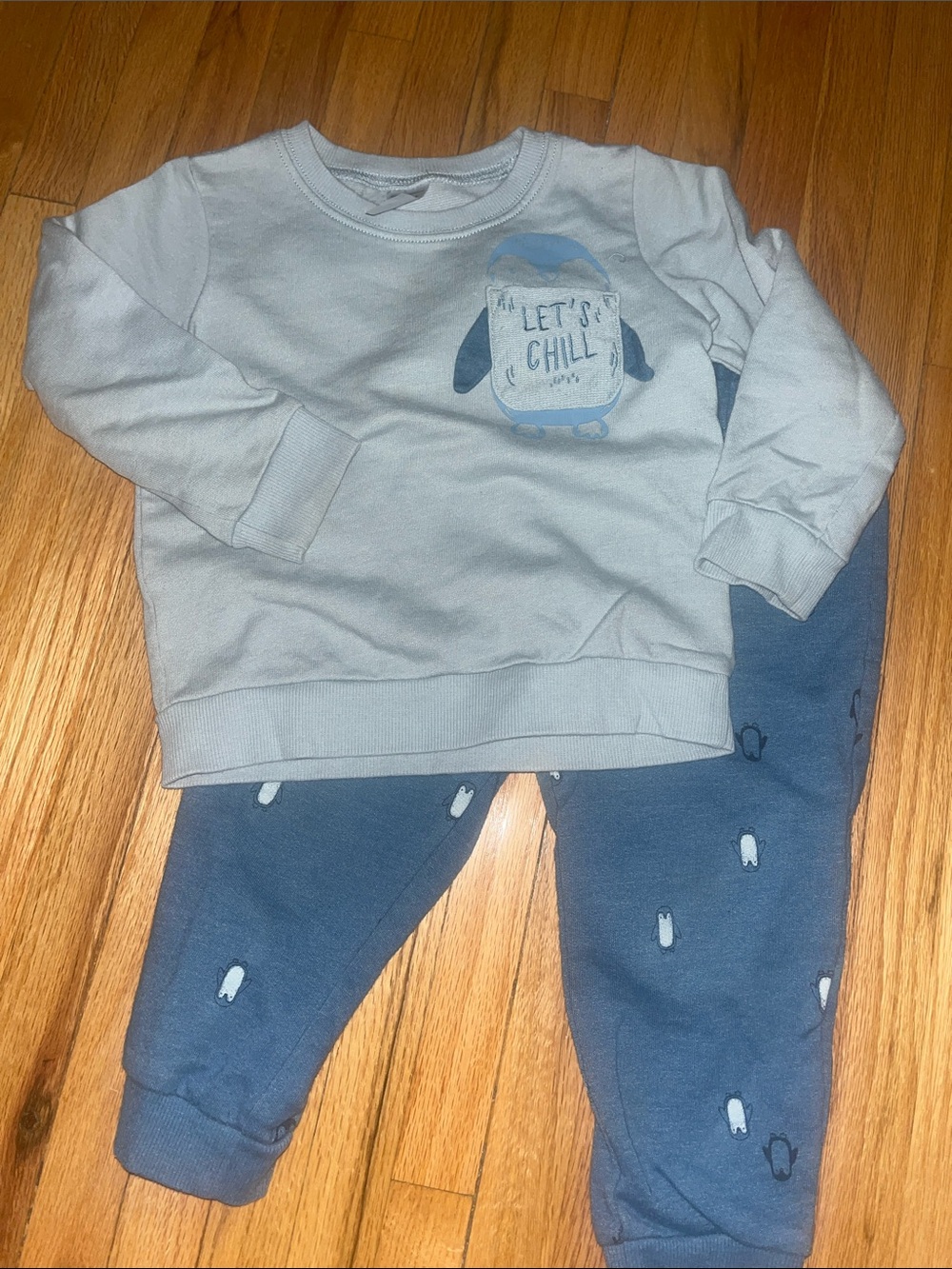 Carter's Light Gray Penguin Sweatshirt with Blue Joggers